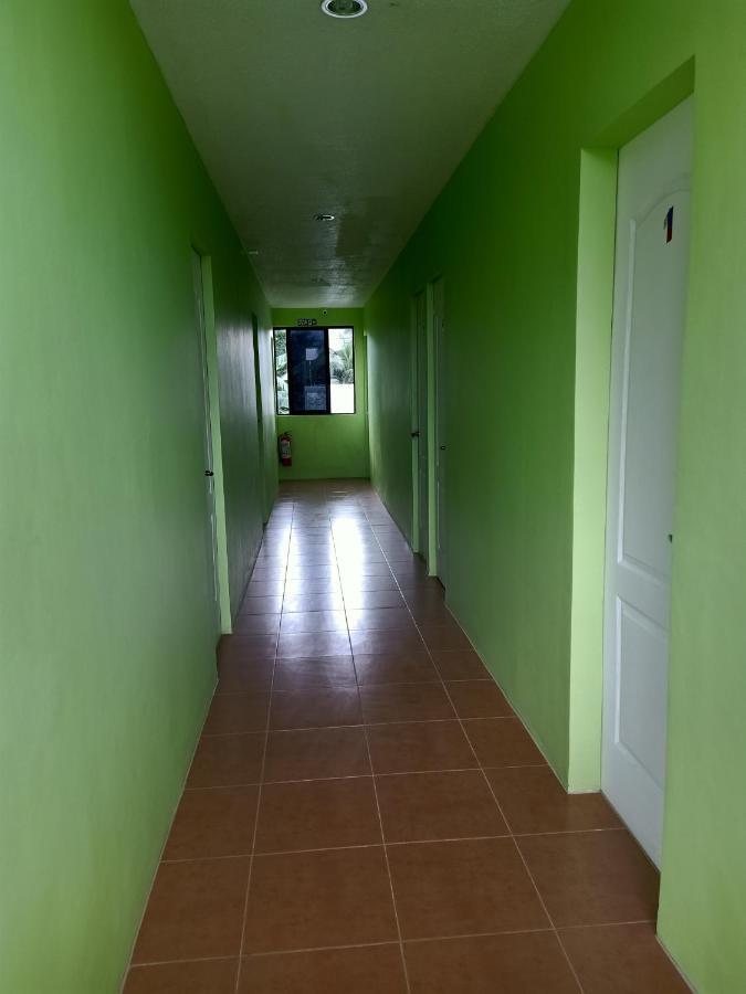 Alona Guest House Đảo Đảo Panglao Ngoại thất bức ảnh
